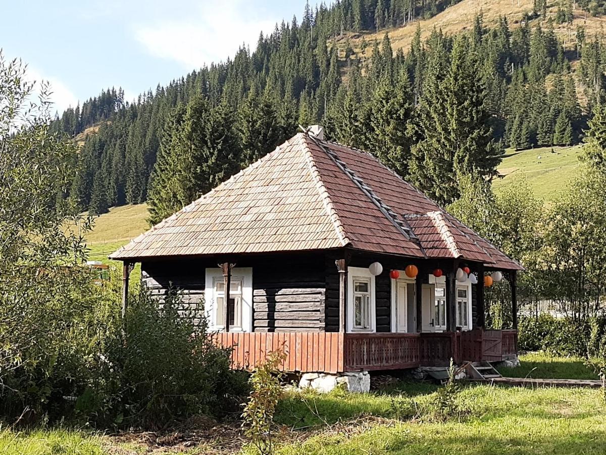 Hotel La Malu' Bistritei - Casutele Valea Stanii Exterior foto